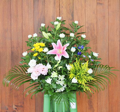 生花20号