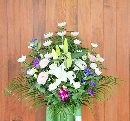 生花25号
